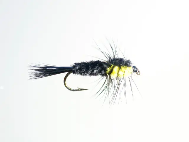 Montana Yellow #8 Dobbelkrok 