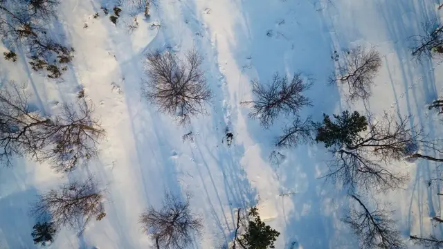 Seeland Winter Camo Set InVis White M Overtrekkssett vinterkamuflasje 