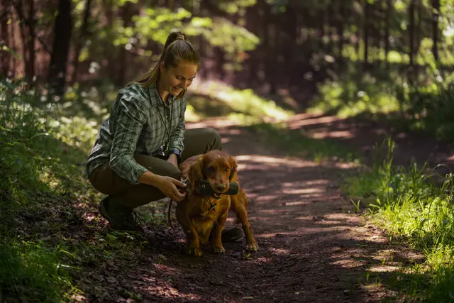Seeland Larch stretch bukser Women 36 Grizzly Brown/Duffel Green 