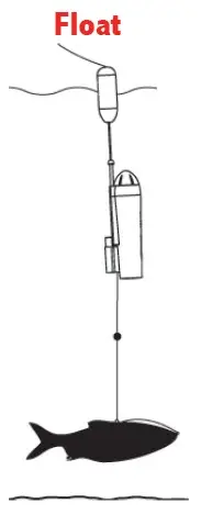 Water Wolf 2.0 1080K Undervannskamera for sportsfiskere 