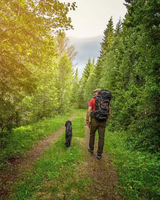 Sydvang Montana Hiking Pack 65L Robust vandresekk med smarte detaljer 