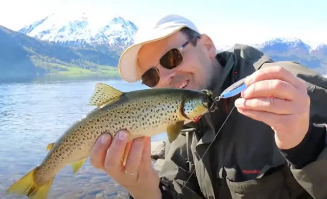 Søvik-Sluken 12g Sølv/Blå Kjøp 8 sluker få en gratis slukboks 