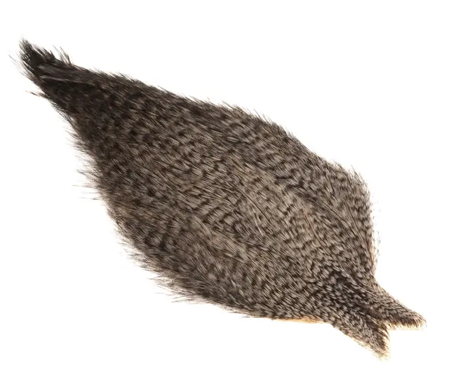 Whiting Coq De Leon Rooster Cape Grizzly 