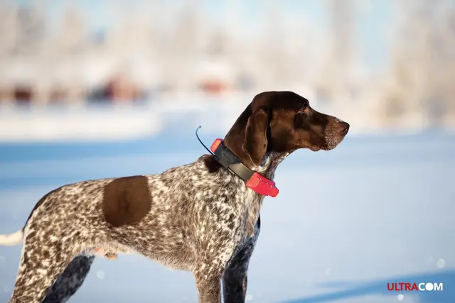 Tracker Avius VHF med sender/mottaker Hundepeiler med forbedret dekning 