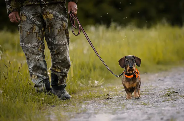 Tracker Bark Fremtidsrettet GPS-hundepeiler med 4G 