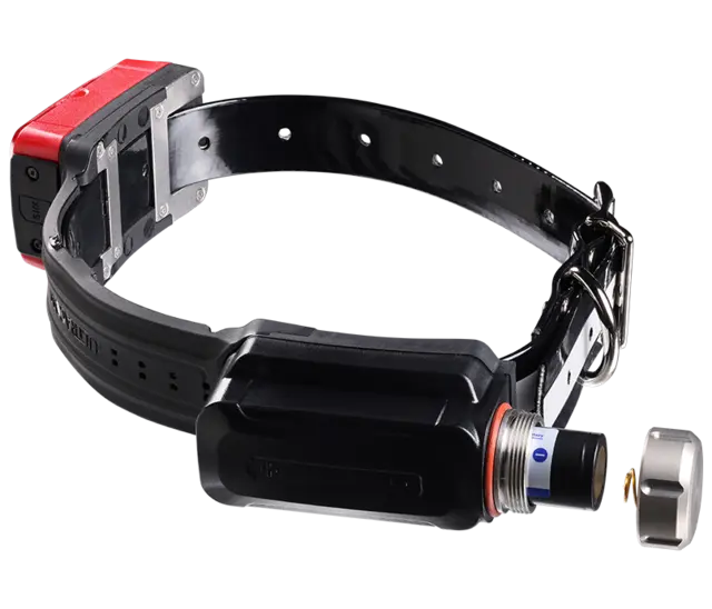 Tracker R10i 4G IoT/2G Hundepeiler med forbedret dekning 