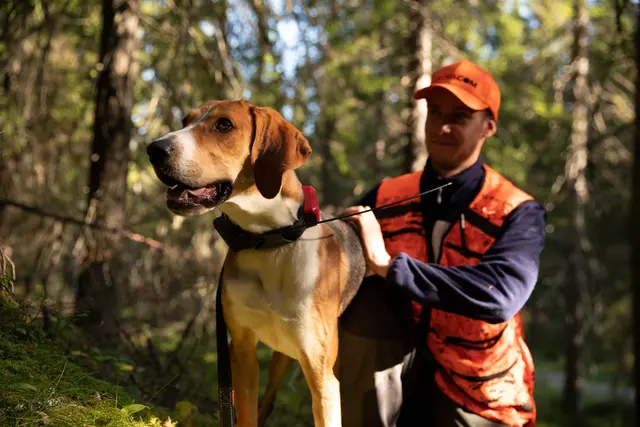 Tracker R10i Hybrid 4G IoT/2G/2G/VHF Hundepeiler med hybrid sanntidssporing 