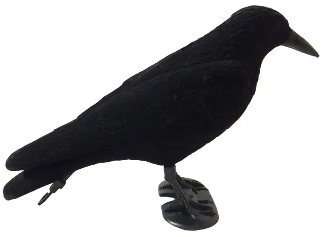 UKSW lokkefugl sort kråke med Flock Hel kråke lokkefugl med Flock-belegg 