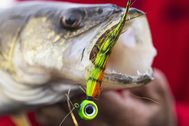 VMC Moontail Jigs Bullhead 10,5g Jigghoder utstyrt med bucktail og flash 