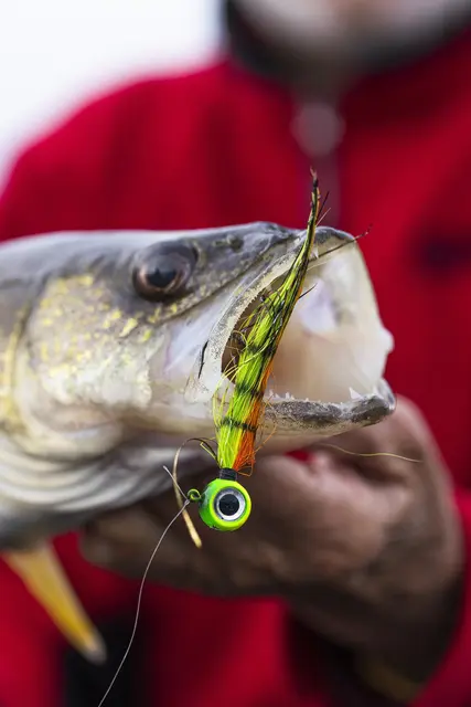 VMC Moontail Jigs Bullhead 10,5g Jigghoder utstyrt med bucktail og flash 