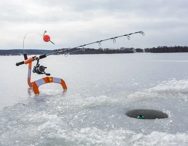 Wiggler Ismeite Stangholder WISS 