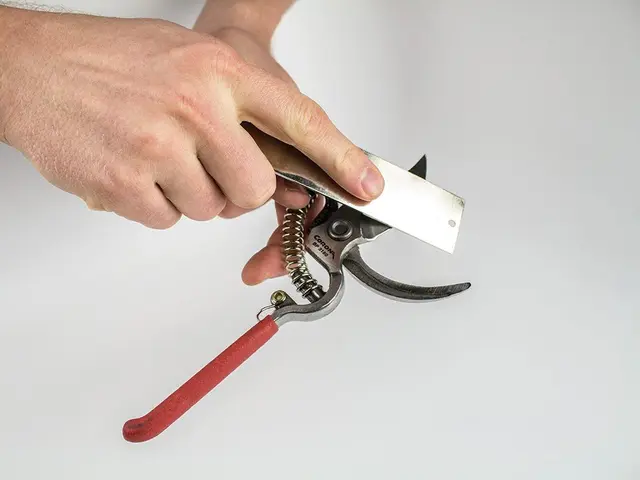 Work Sharp GSS Guided Bryne System Topp sliperesultat raskt og enkelt 