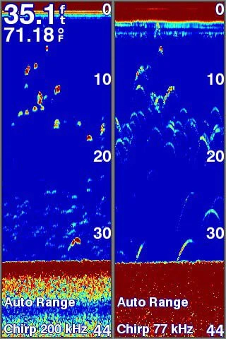 Opplev klarheten med CHIRP 1