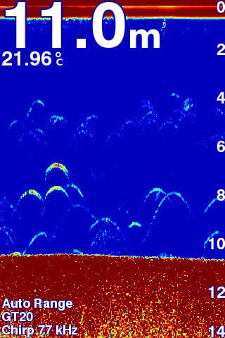 Opplev klarheten med CHRIP 2