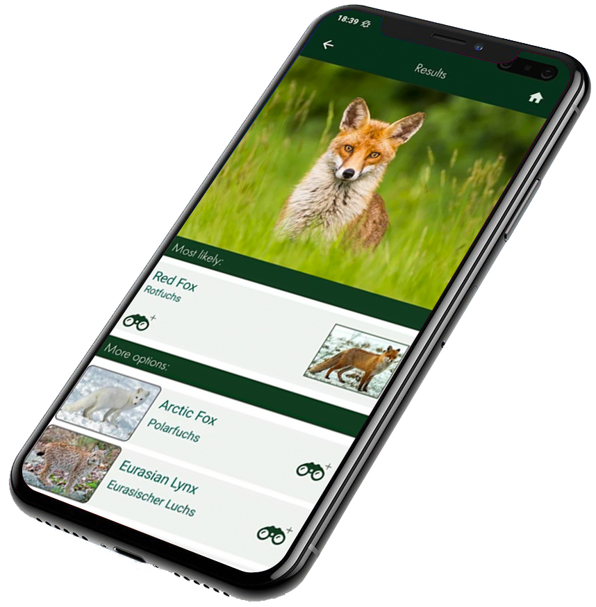 Swarovski dG 8X25 Optisk monokular kan kobles til en app